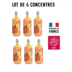 Machine A Soda MYSODA - Lot De 6 Concentrés Saveur Agrumes 685ml